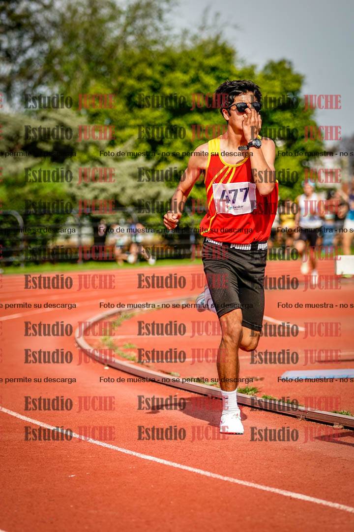 Fotos de los 3000 m llanos de varones