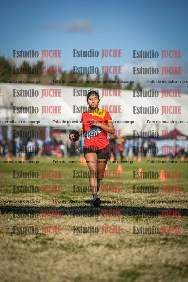 Fotos de las llegadas