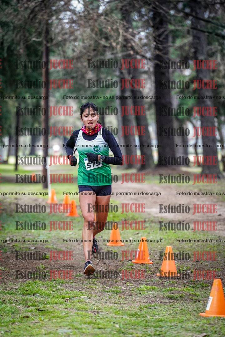 Fotos en el circuito