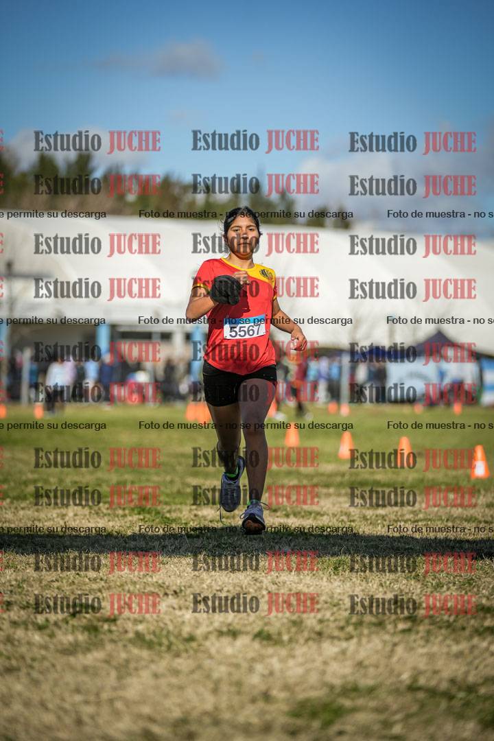 Fotos de las llegadas