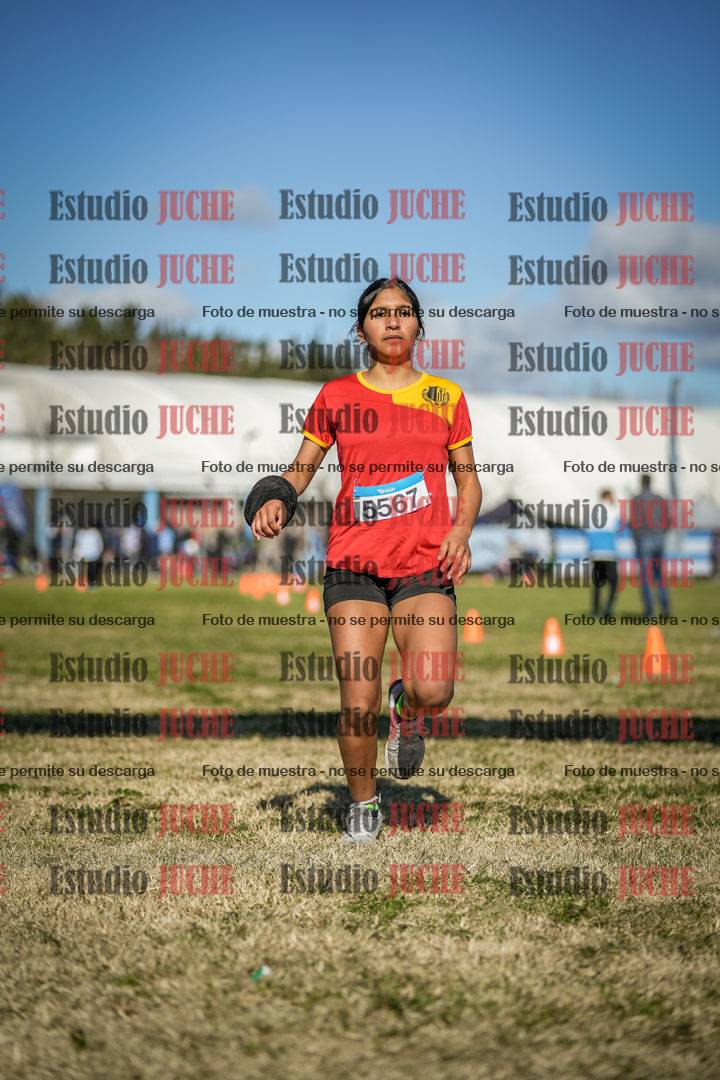 Fotos de las llegadas