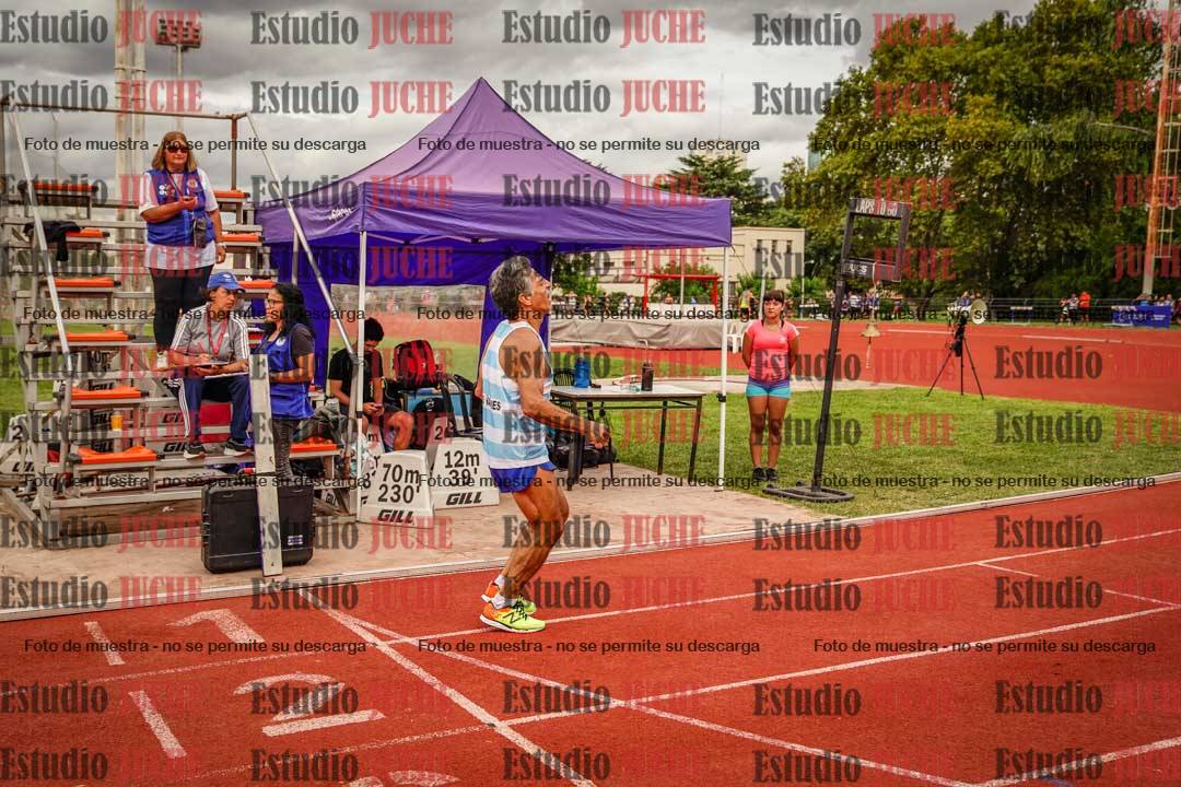 Fotos de los 800 m de varones