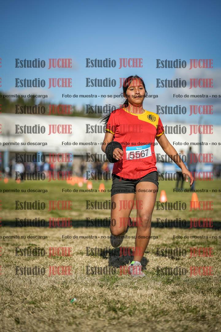 Fotos de las llegadas