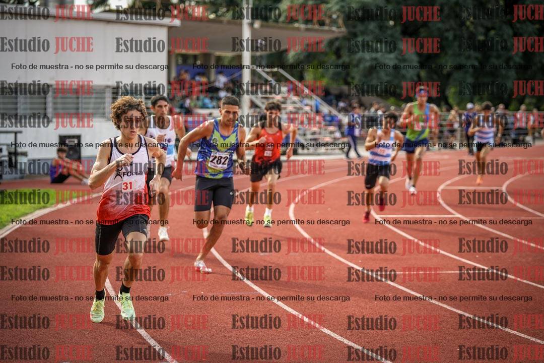 Fotos de los 800 m llanos de varones