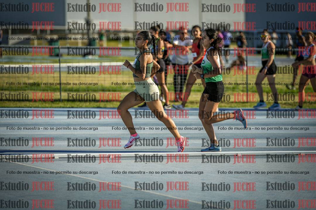 Fotos de los 1500 m llanos de mujeres