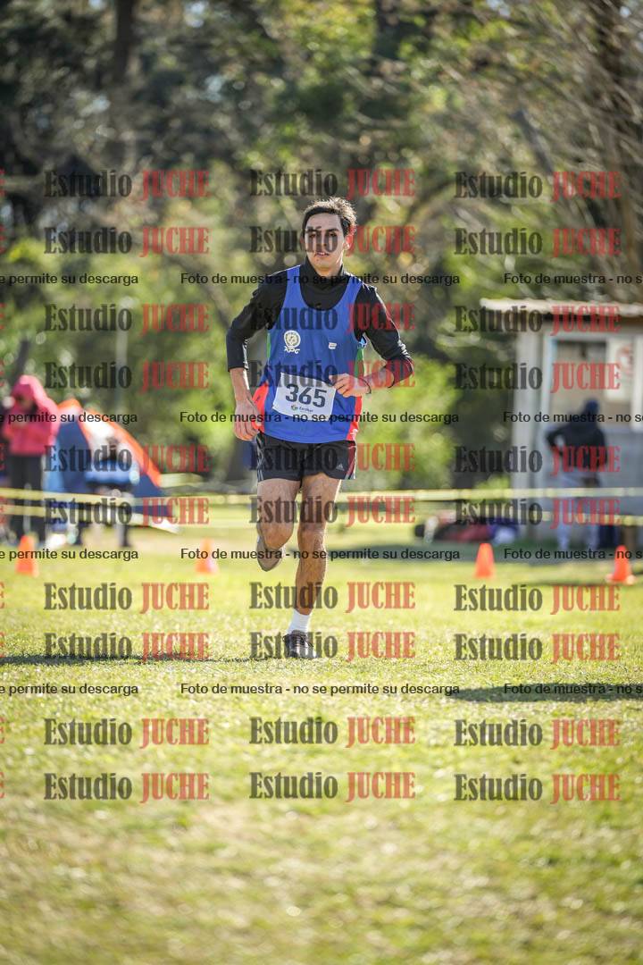 Fotos de la llegada del cross de 8000 m