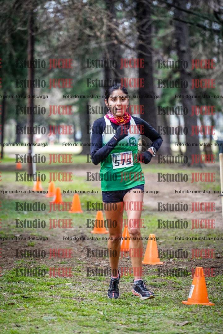 Fotos en el circuito