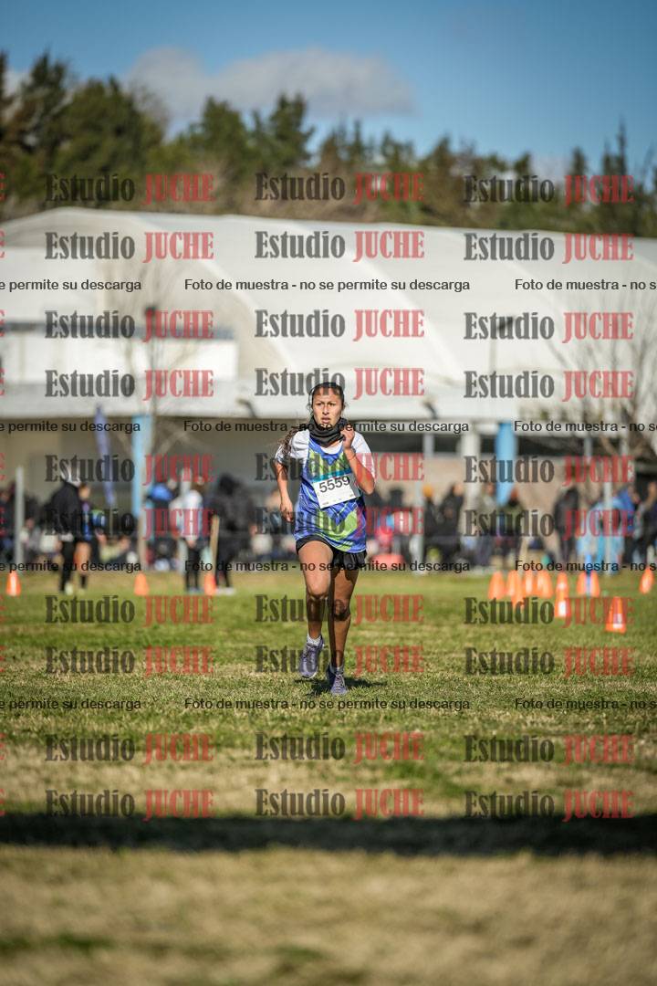 Fotos de las llegadas
