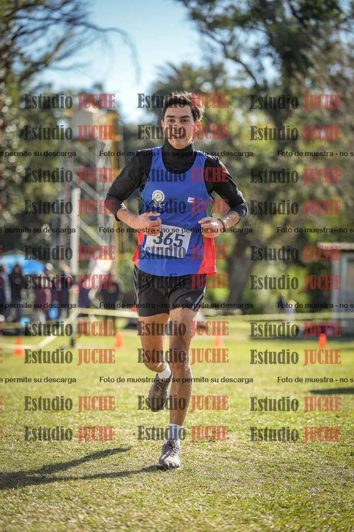 Fotos de la llegada del cross de 8000 m