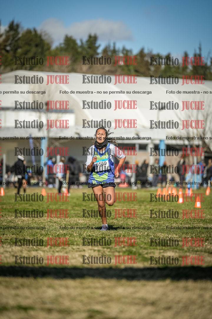 Fotos de las llegadas