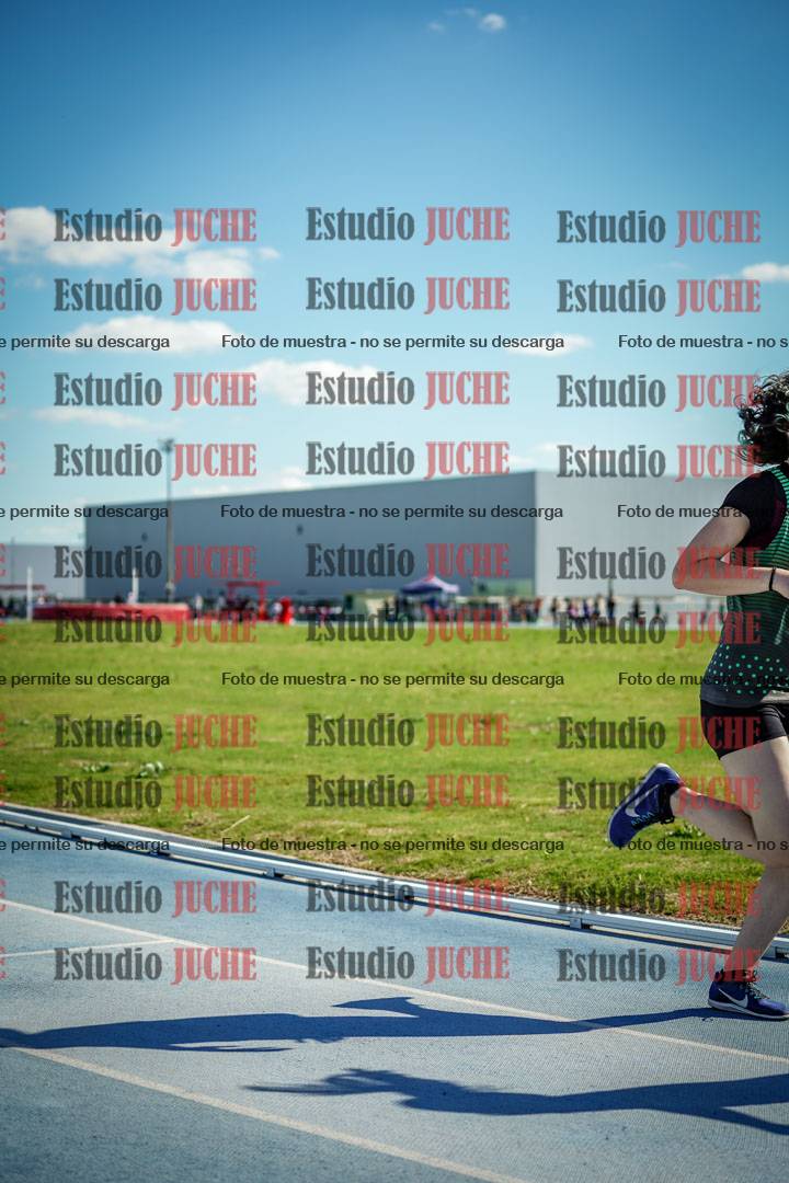 Fotos de los 1500 m llanos de mujeres
