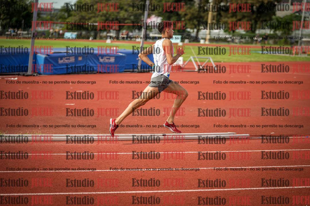Fotos de los 800 m llanos de varones