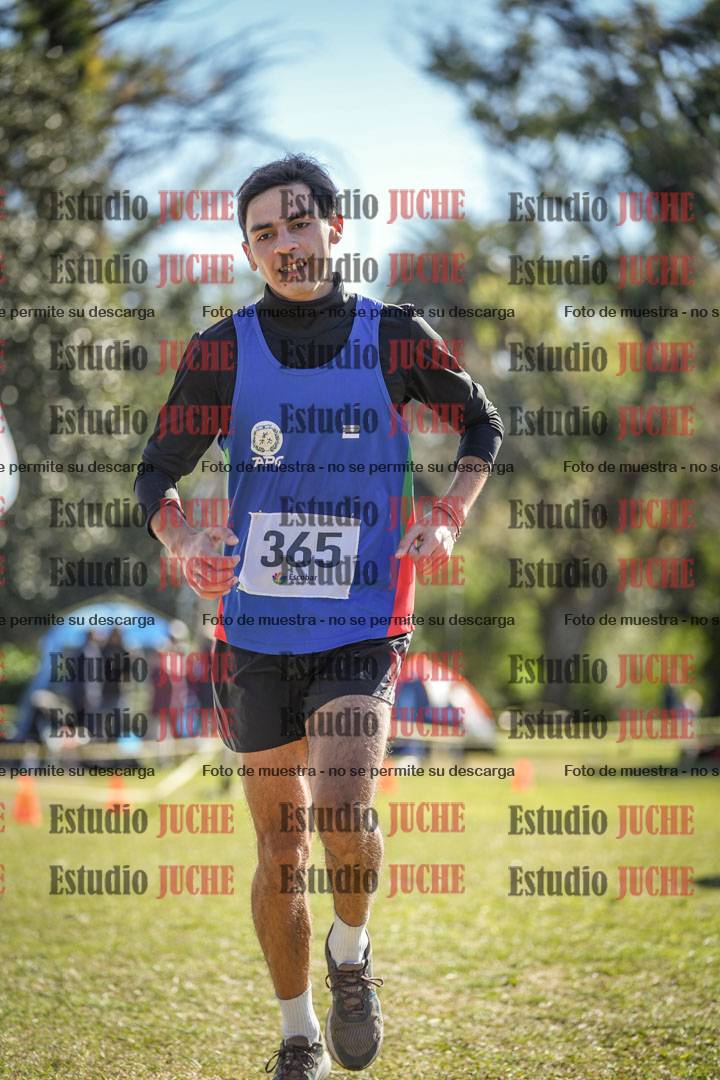 Fotos de la llegada del cross de 8000 m