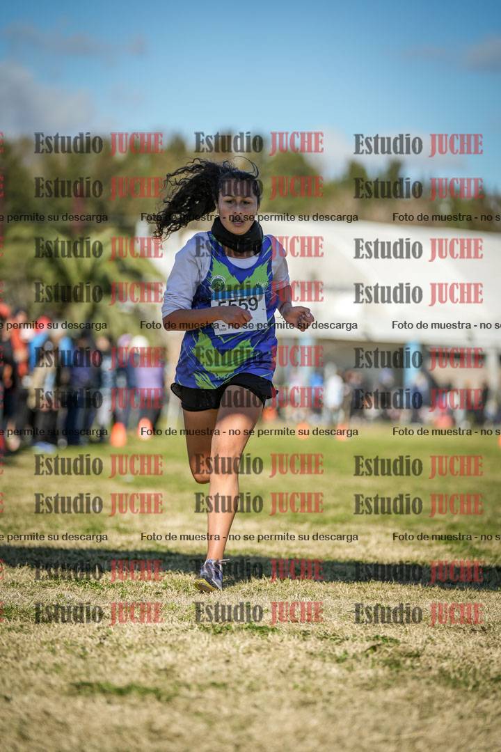 Fotos de las llegadas