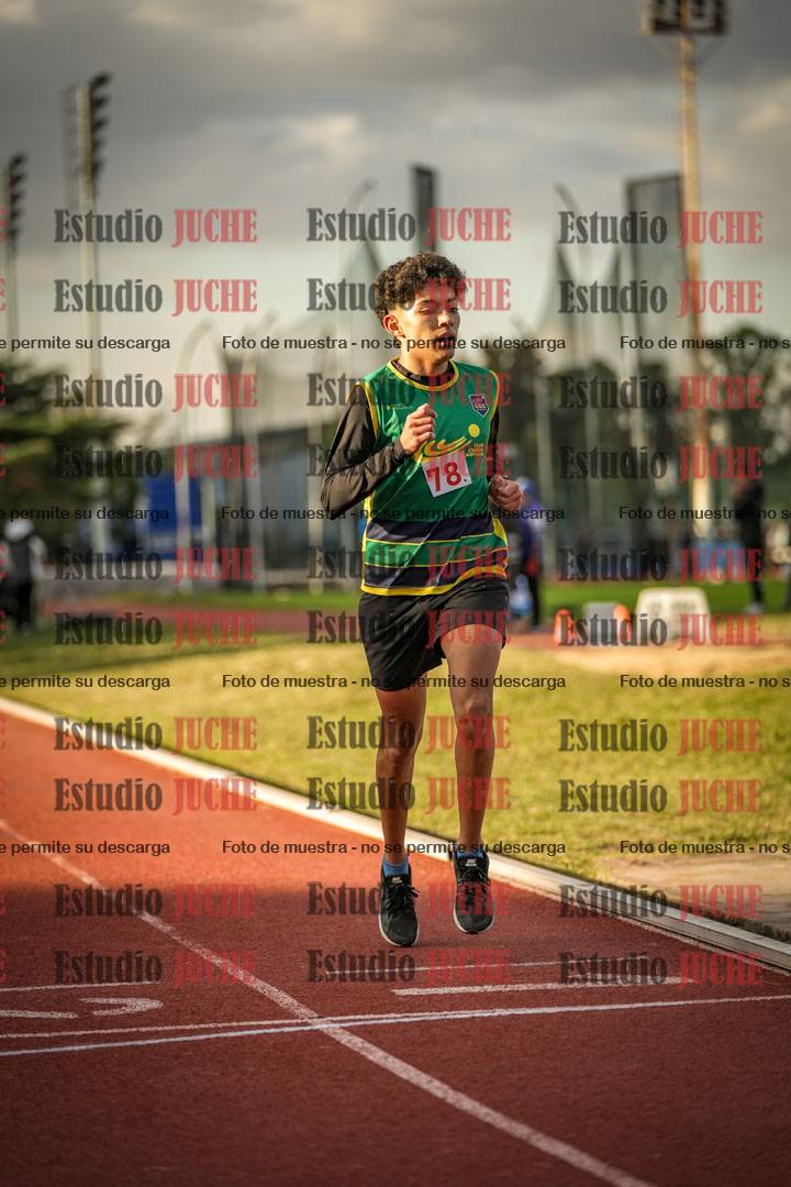 Fotos de los 1500 m llanos de varones