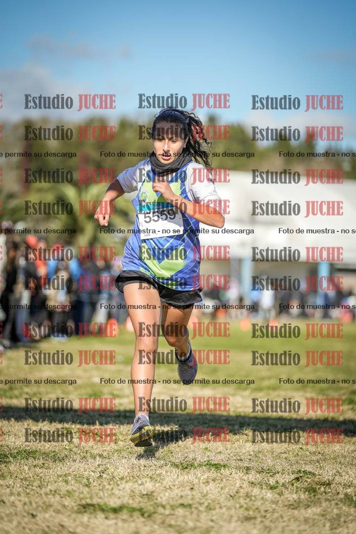 Fotos de las llegadas