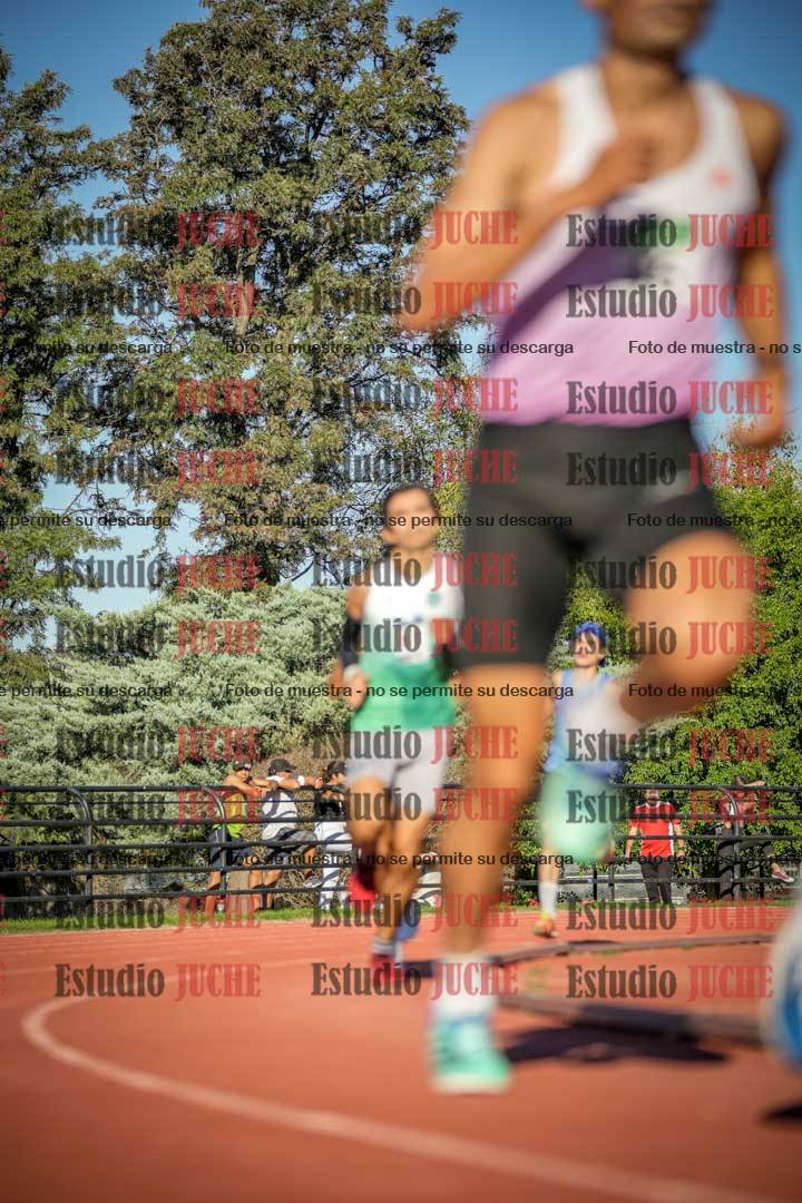 Fotos de los 3000 m llanos de varones