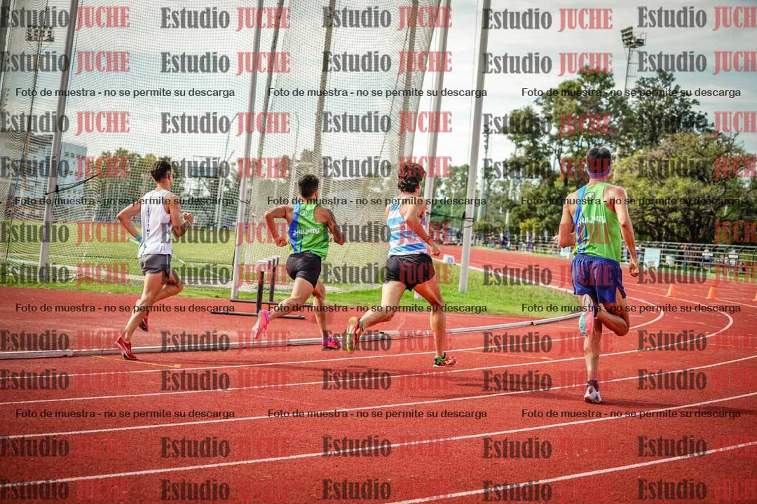 Fotos de los 800 m llanos de varones