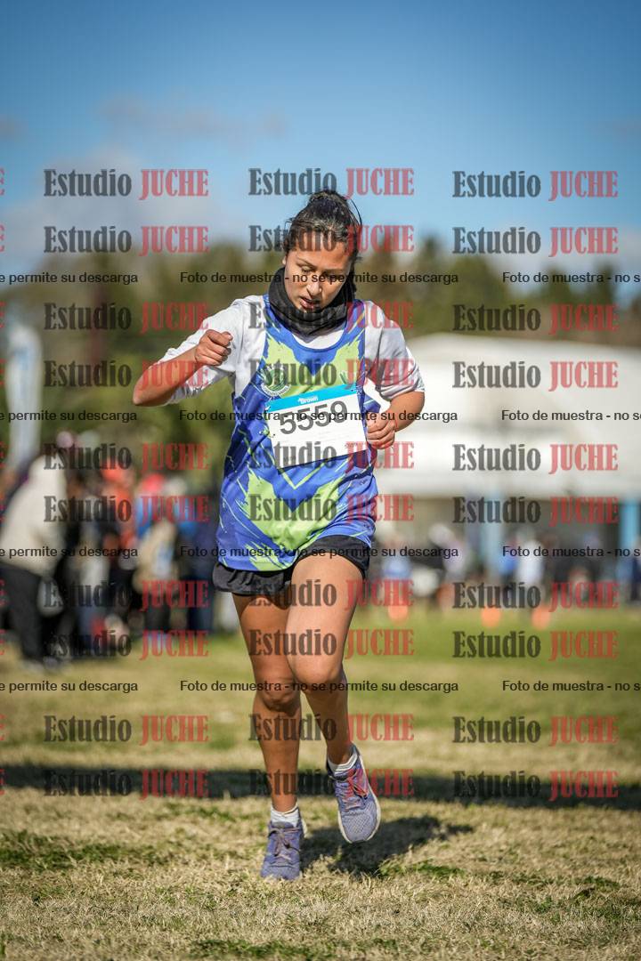 Fotos de las llegadas