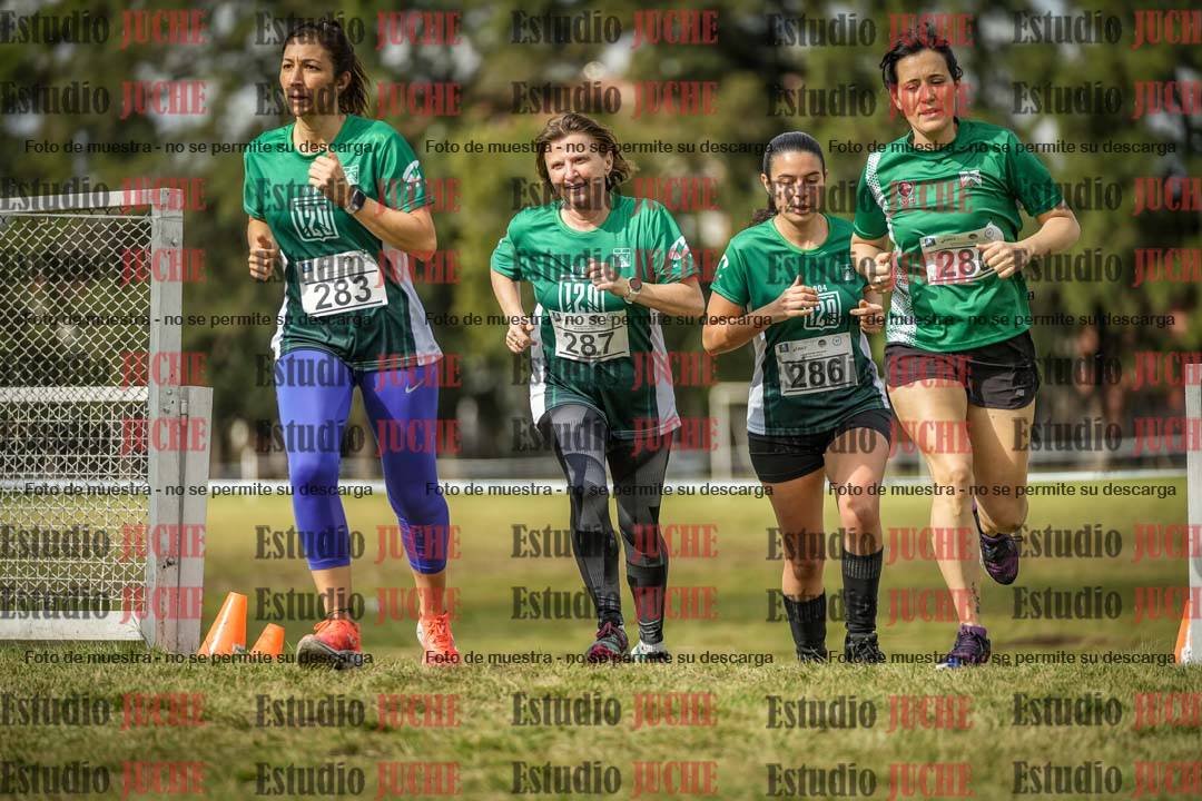 Fotos en el circuito