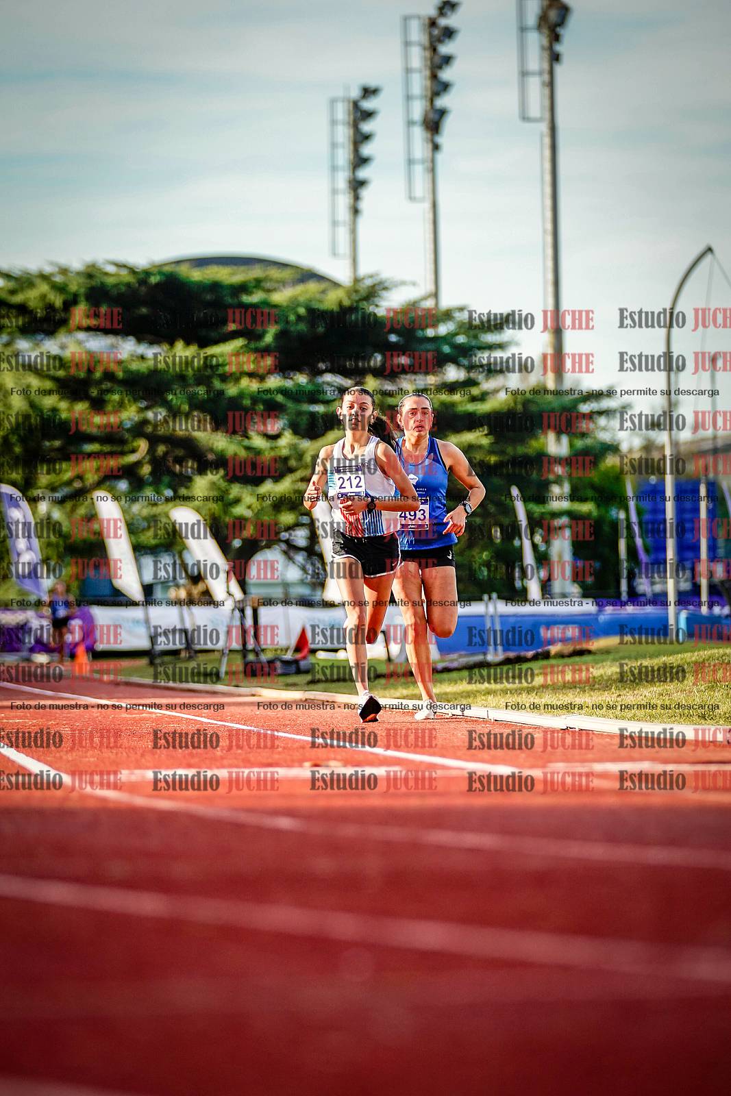 Fotos de los 5000 m de mujeres