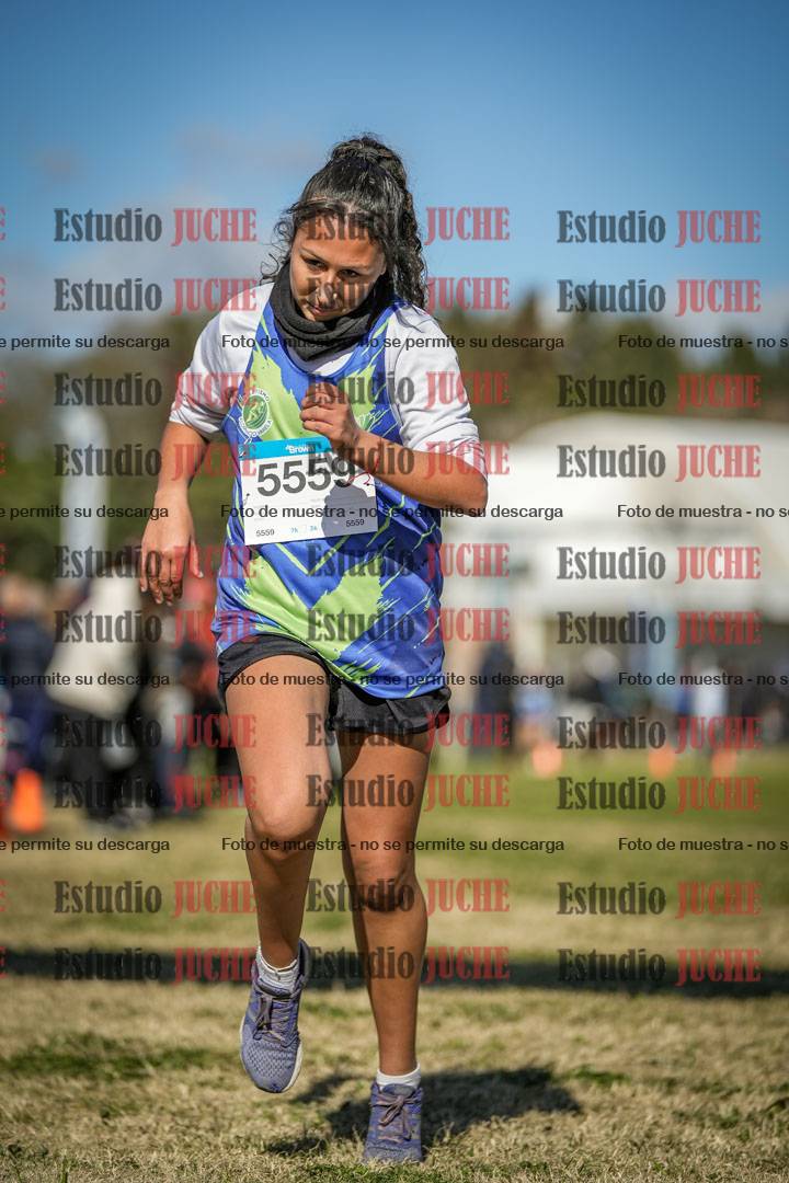 Fotos de las llegadas