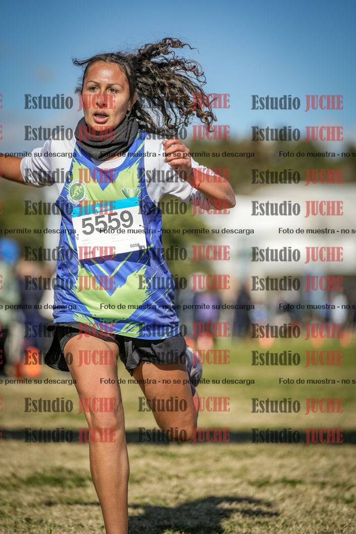 Fotos de las llegadas