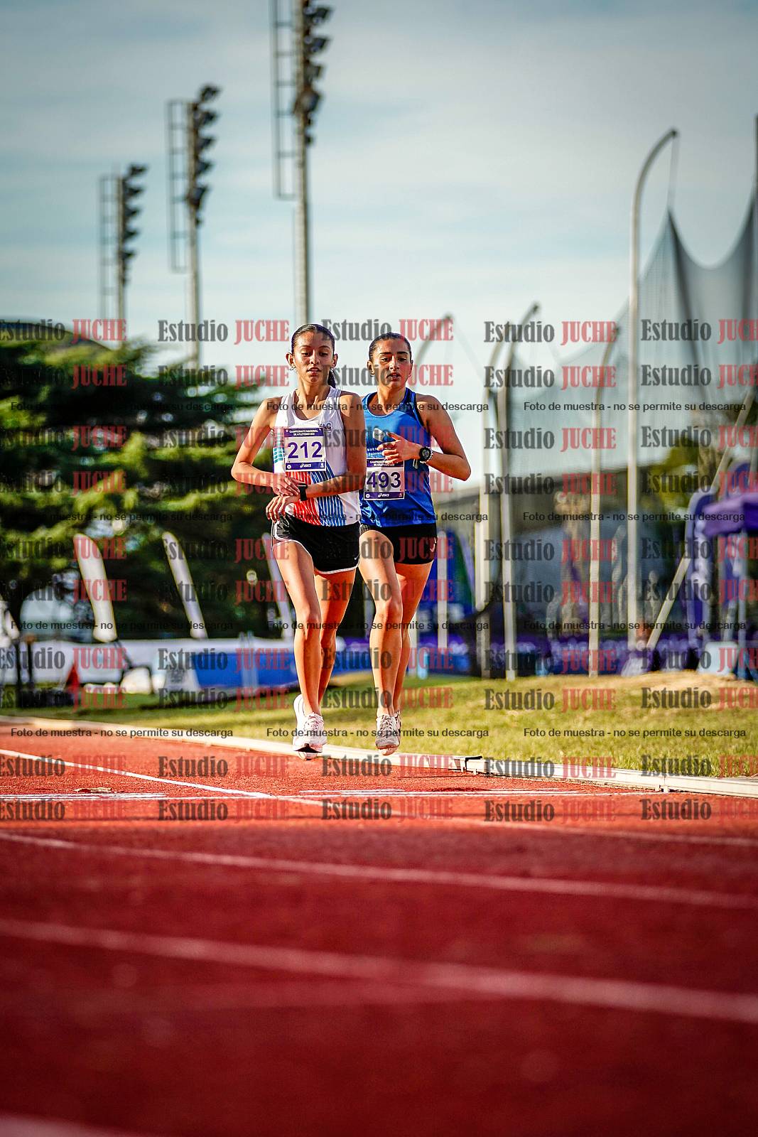 Fotos de los 5000 m de mujeres