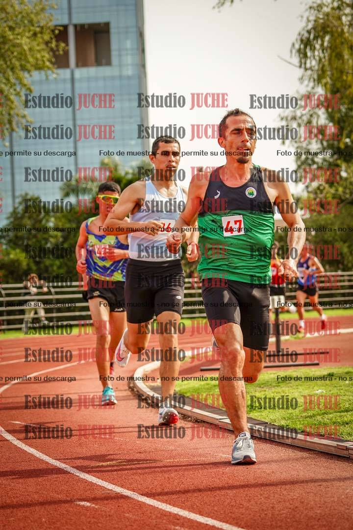 Fotos de los 3000 m llanos de varones