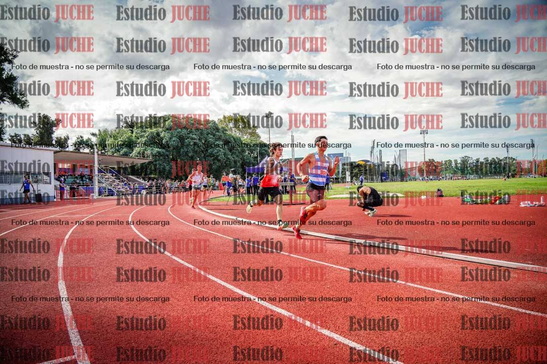 Fotos de los 800 m llanos de varones