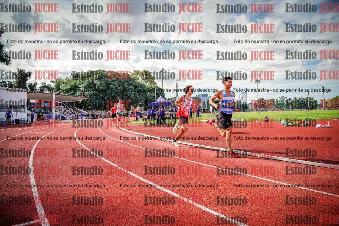 Fotos de los 800 m llanos de varones