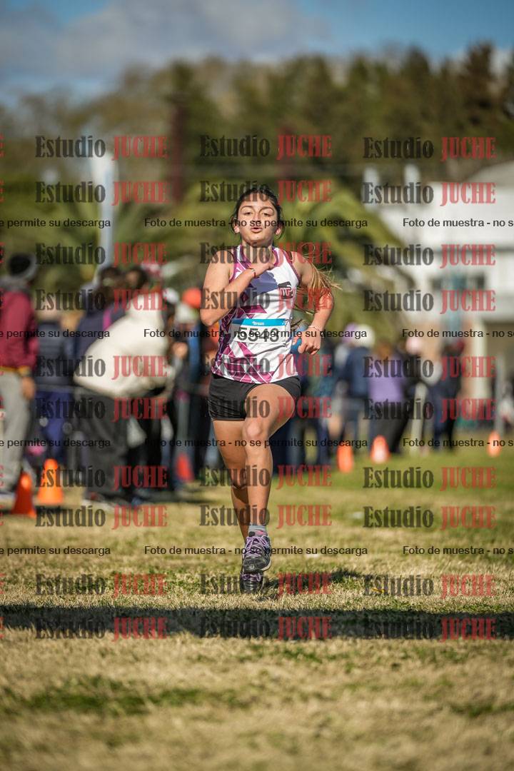Fotos de las llegadas