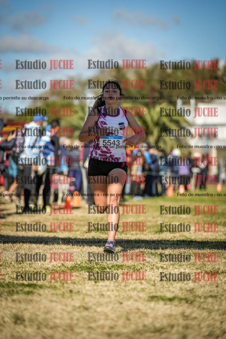 Fotos de las llegadas