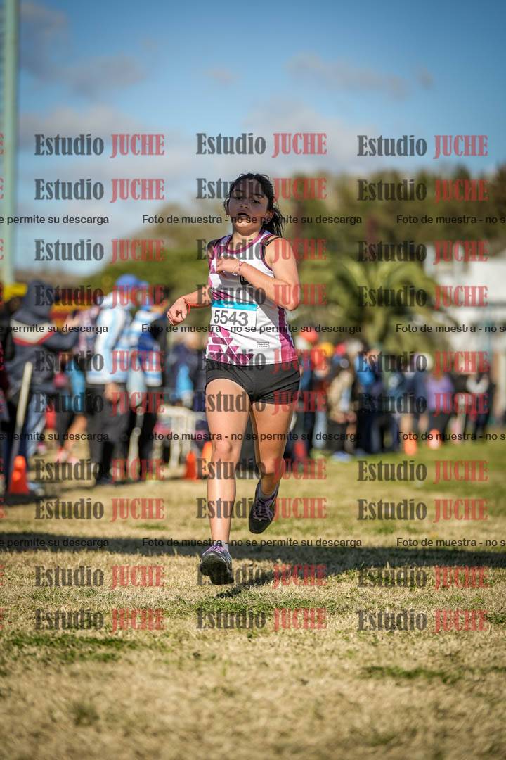 Fotos de las llegadas