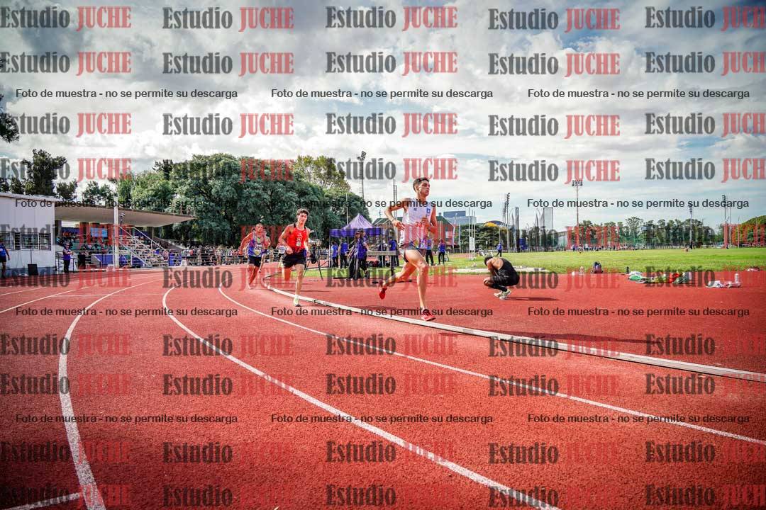 Fotos de los 800 m llanos de varones