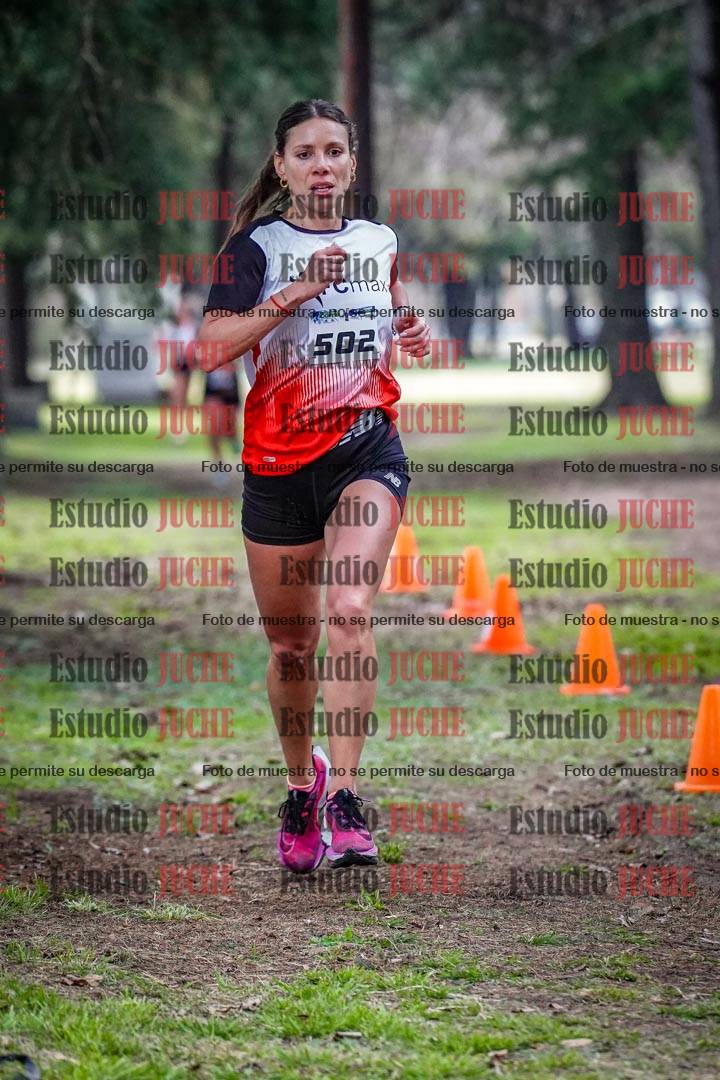Fotos en el circuito