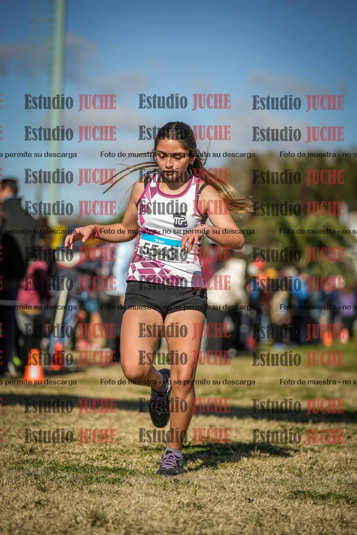 Fotos de las llegadas