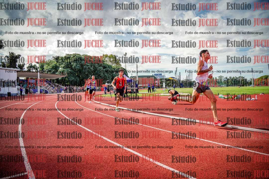 Fotos de los 800 m llanos de varones