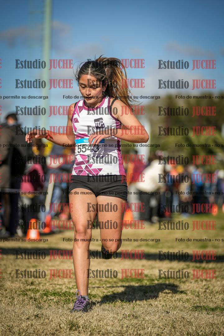 Fotos de las llegadas