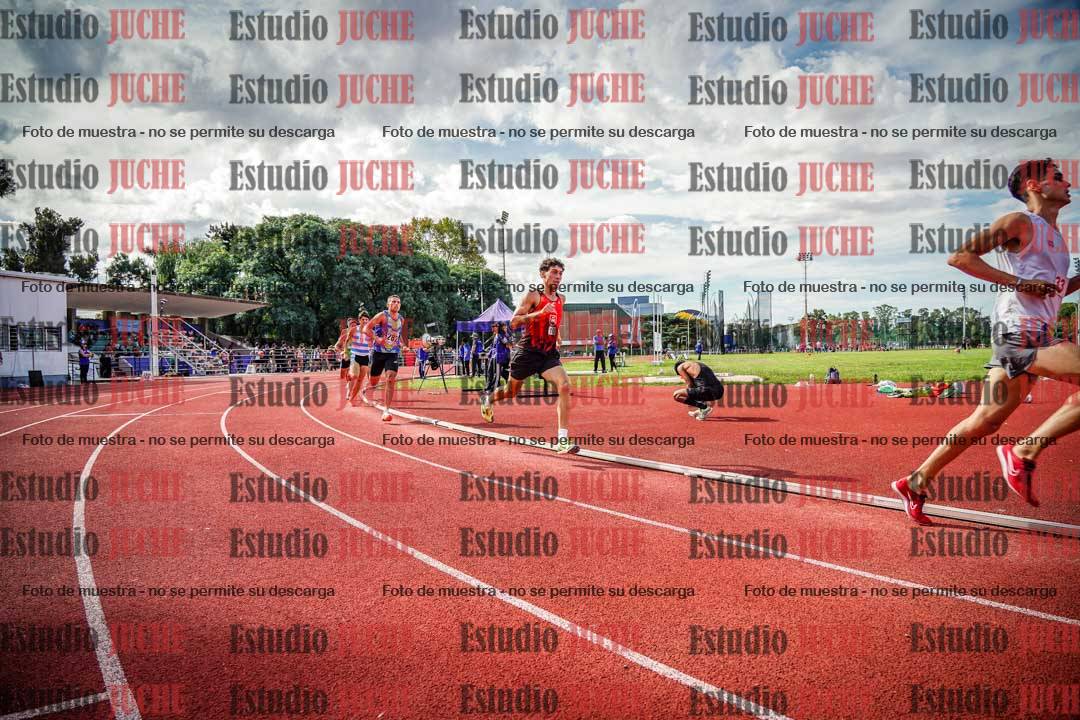 Fotos de los 800 m llanos de varones
