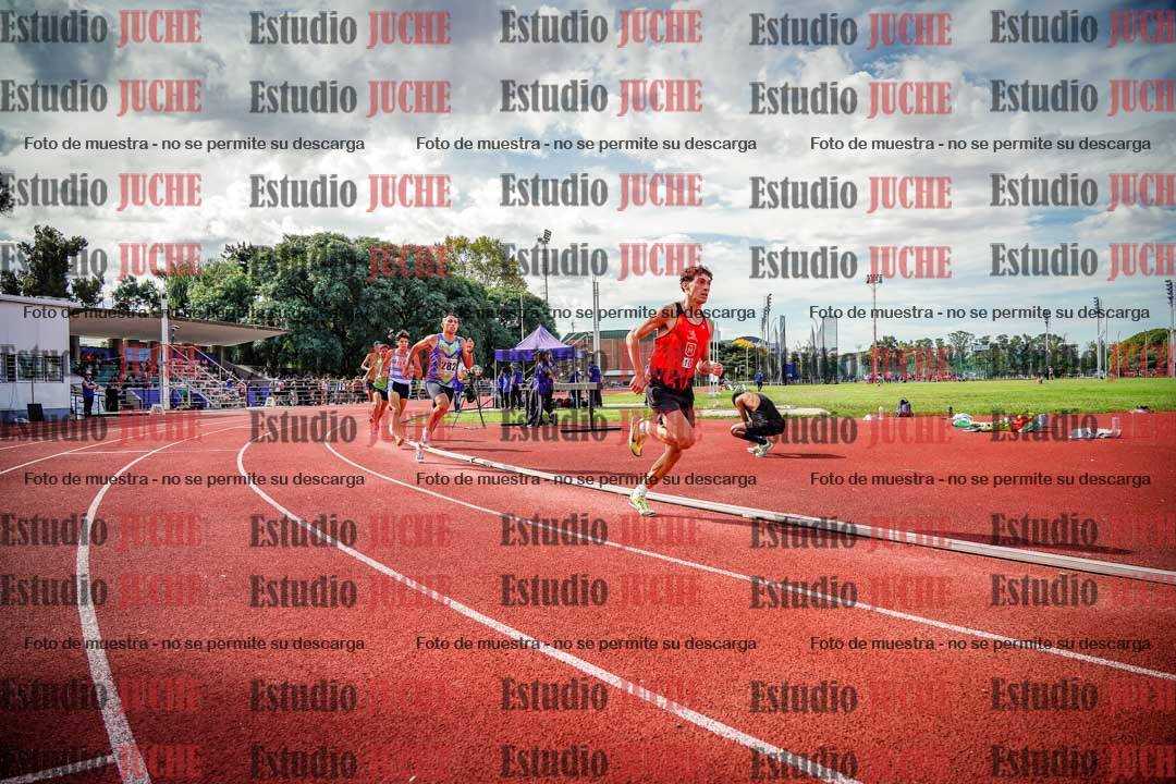 Fotos de los 800 m llanos de varones
