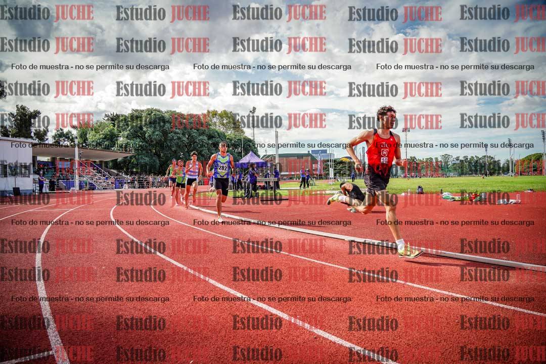Fotos de los 800 m llanos de varones