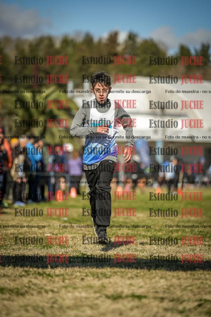 Fotos de las llegadas
