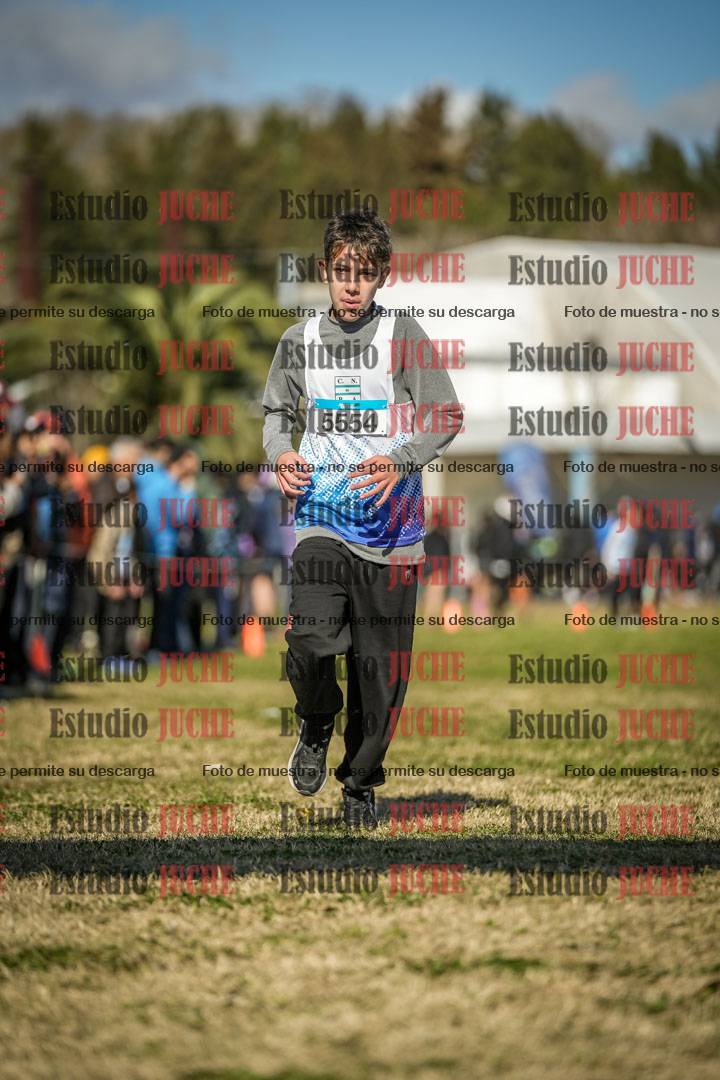 Fotos de las llegadas