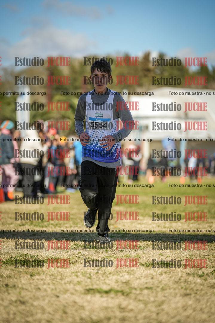 Fotos de las llegadas