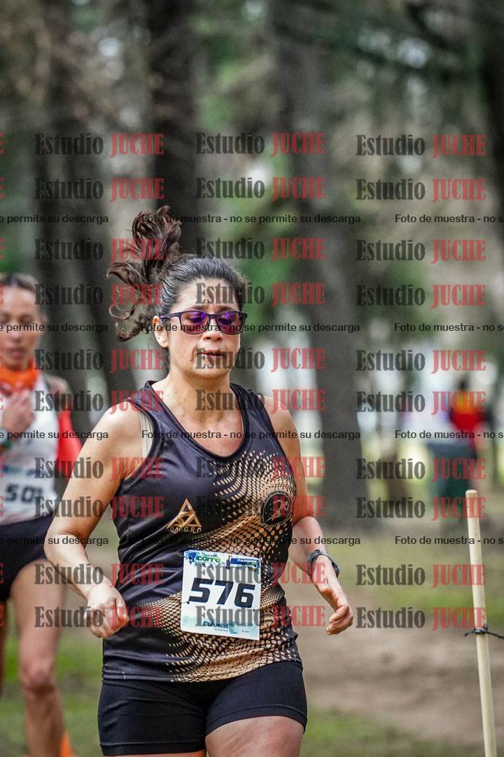 Fotos en el circuito