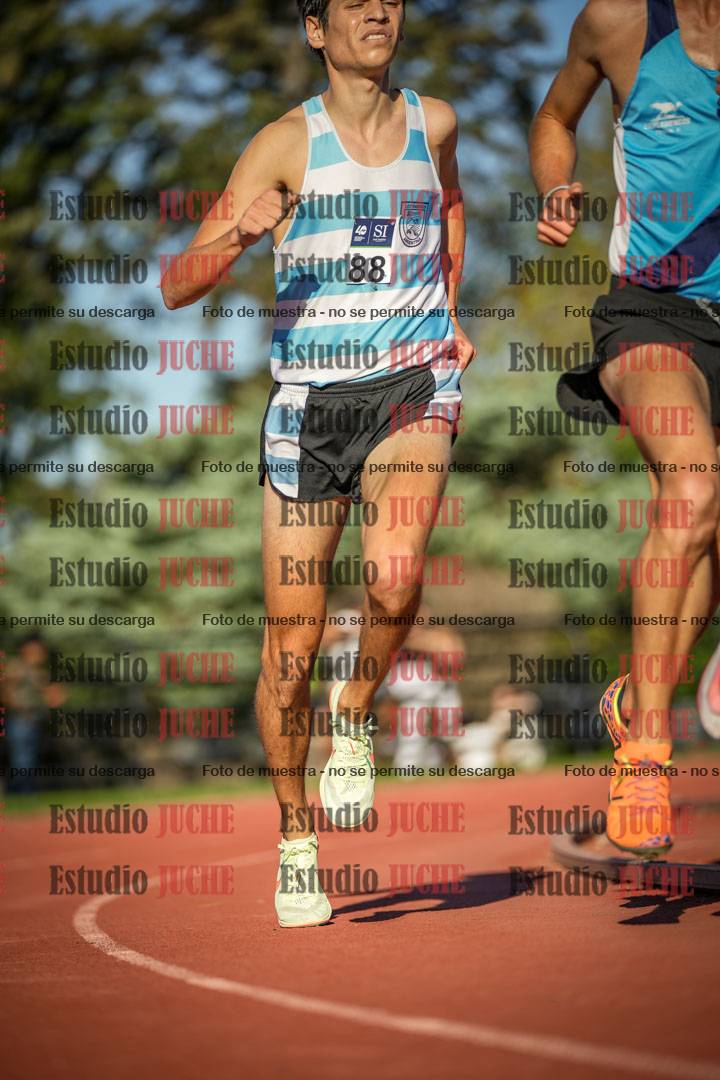 Fotos de los 3000 m llanos de varones