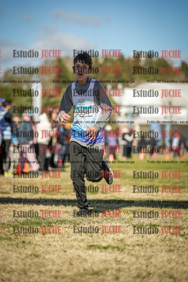 Fotos de las llegadas