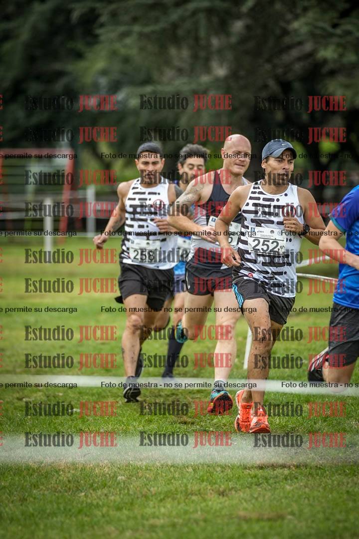 Fotos en el circuito