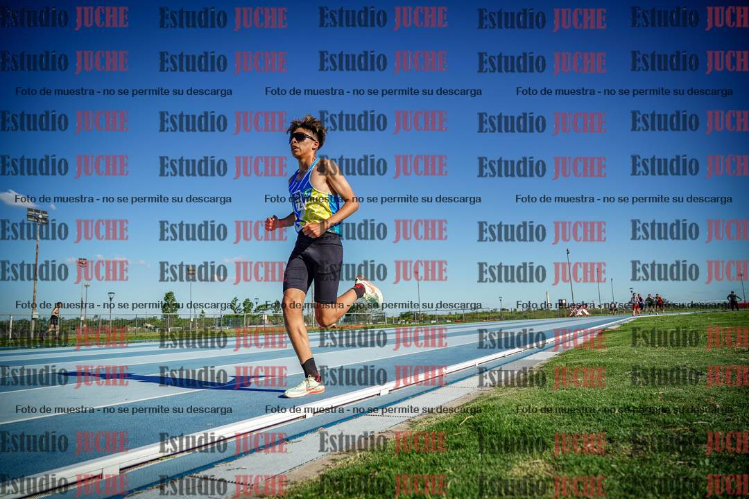 Fotos de los 3000 m llanos de varones